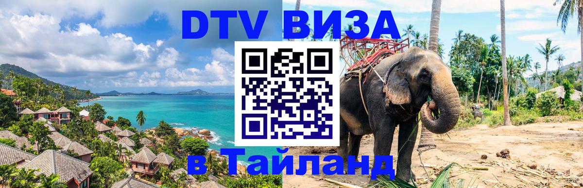 Оформление DTV визы под ключ: стоимость и тарифы, только загранпаспорт - Тхимпху  21.11.2025 